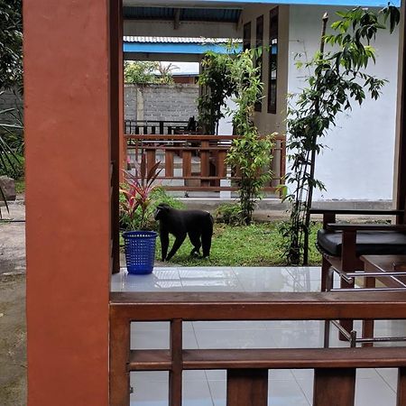 Hotel Tangkoko Macaca Rinondoran Exteriér fotografie