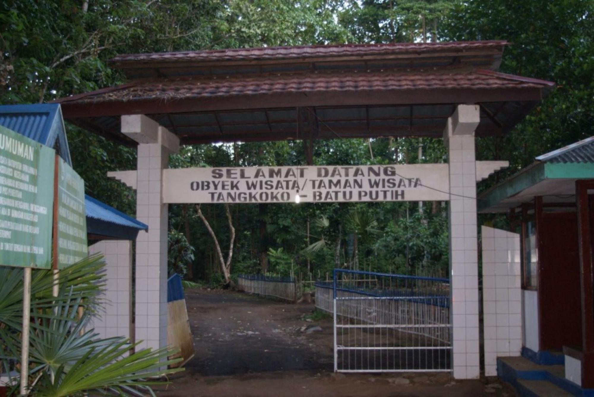 Hotel Tangkoko Macaca Rinondoran Exteriér fotografie